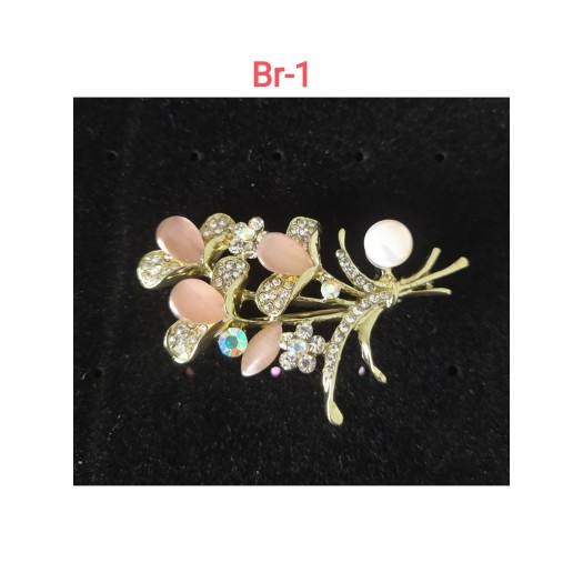 Broche Br-1   Manigfique Et Brillant Broche, Tradition Unique Mode Broche Pour Femmes