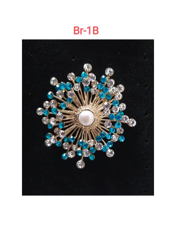 Broche Br-1   Manigfique Et Brillant Broche, Tradition Unique Mode Broche Pour Femmes