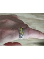 Ring Feng Shui BH-5  Vintage Und Feng Shui Ring Imitation Anti-Silber Look-Gothic chinesischer Ring für Männer