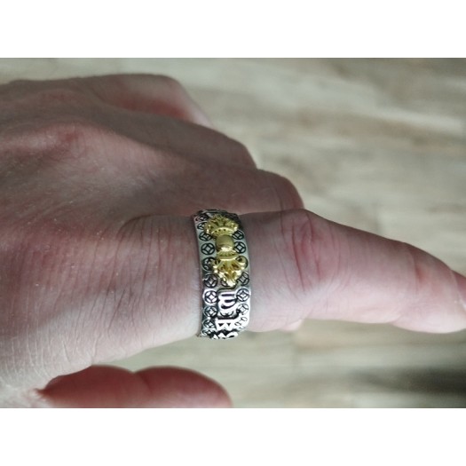 Bague Feng Shui BH-5  Vintage And Feng Shui  imitation anti-argent style gothique chinois bague pour hommes